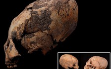 Đầu giống người ngoài hành tinh ở mộ cổ Trung Quốc