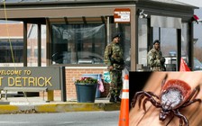 Nghi vấn đội quân côn trùng truyền bệnh của Mỹ