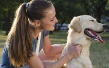 Sau cơn hôn mê, bàng hoàng khi biết tay chân bị cắt chỉ vì... chó cưng