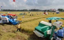 Bảo hiểm nông nghiệp cần có ba chữ 'L'