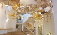 Vào quán ngắm 'ao sen' treo ngược