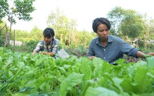 Hai cô gái lên rừng làm nông nghiệp thuận tự nhiên