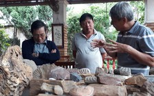 Bảo tàng cổ sinh vật hóa thạch giữa lòng phố núi