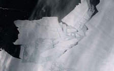 Khối băng khổng lồ tách khỏi Nam cực