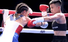 Nhiều võ sĩ Việt Nam theo đuổi boxing chuyên nghiệp