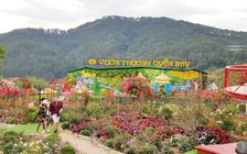 Đề nghị đình chỉ kinh doanh khu du lịch không phép ở Đà Lạt