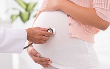 Choline giảm ảnh hưởng của Covid-19 đối với thai nhi