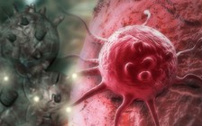 Phát hiện mới sẽ giúp điều trị hiệu quả bệnh ung thư tuyến tụy