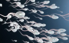 Những sự thật cần biết về tinh trùng