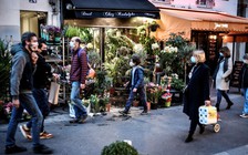 Covid-19 tàn phá châu Âu