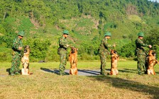 Quân khuyển biên phòng: Lên rừng, xuống biển