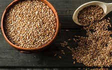 5 lợi ích bất ngờ của hạt lanh
