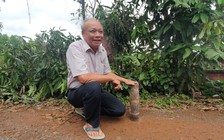 Triển khai rà phá bom mìn dự án sân bay Long Thành trong tháng 12