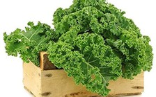 Những thực phẩm giúp bạn giảm hơn một nửa nguy cơ ung thư ruột