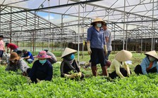 Nông sản khó tiêu thụ trong những ngày giãn cách