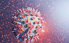 2 triệu chứng chính ở người nhiễm biến thể Omicron