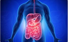 Đừng chủ quan với những triệu chứng ở dạ dày, có thể là nhiễm Omicron