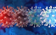 Đã nhiễm Covid-19 đừng chủ quan: 2/3 người nhiễm Omicron hiện nay là tái nhiễm