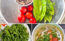 Nhớ vị đắng canh lằng mùa nắng cháy