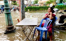 Dân thành phố lo 'đắp đê, tát nước'