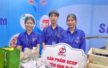 Đại biểu trẻ nhất dự Đại hội Đoàn: Mong có nhiều dự án hỗ trợ học sinh