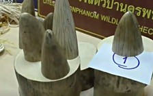 Thái Lan bắt một phụ nữ Việt mang lậu 22 kg ngà voi