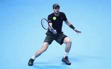 Murray và Nishikori cùng thắng trong trận ra quân ATP World Tour Finals 2016