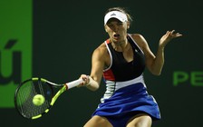 Wozniacki và gia đình bị đe dọa tại giải Miami Open