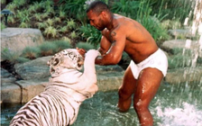 Mike Tyson hối hận vì ‘chơi ngông’ nuôi hổ làm thú cưng