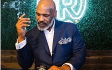 Vườn cần sa rộng 418 héc ta dùng để trị bệnh của Mike Tyson