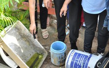 Số người mắc sốt xuất huyết tại TP.HCM tăng vọt dịp cận tết