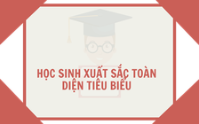 Những đứa trẻ 'xuất sắc toàn diện tiêu biểu' hay nạn nhân của bệnh thành tích?