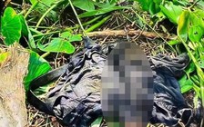 Cà Mau: Bắt khẩn cấp người vợ giết chồng giấu xác dưới ao hơn 4 tháng