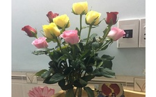 Tặng vợ niềm hạnh phúc giản đơn