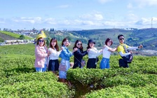 Bạn trẻ lên kế hoạch vi vu để ủng hộ du lịch Việt