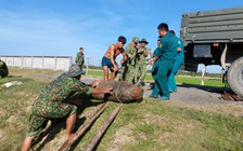 Trà Vinh: Bàn giao trên 1,5 tấn bom, mìn cho Quân khu 9 xử lý hủy nổ