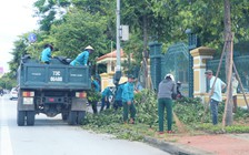 Bão số 4: Một người tử vong khi chằng chống nhà cửa