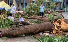 Thủ tướng chỉ thị về các giải pháp bảo vệ trẻ em