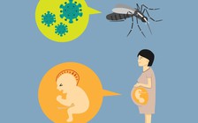 Một phụ nữ người Việt được xác nhận nhiễm virus Zika ở Nhật