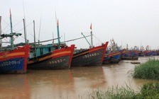 7.049 tàu cá của Thanh Hóa đã vào bờ tránh bão số 3