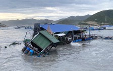 Bão số 9: Hàng trăm bè du lịch, lồng nuôi tôm hùm ở Khánh Hòa bị sóng biển đánh vỡ