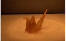 Chế tạo polymer độc đáo có thể tự thay đổi hình dạng