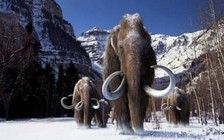 Nóng lên toàn cầu làm trễ kỷ băng hà tiếp theo