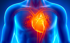 Tập luyện cường độ quá cao sẽ gây hại cho tim