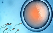 Vì sao quan hệ tình dục cần thiết cho loài người?