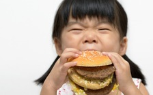 Trẻ ăn nhiều protein có nguy cơ béo phì cao