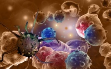 Thuốc mới giúp kéo dài gấp đôi thời gian sống khi mắc ung thư vú