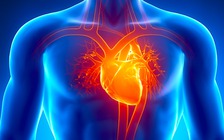 Lợi ích bất ngờ của Viagra đối với tim mạch