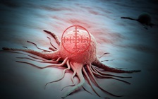 Thuốc mới có thể diệt ung thư não hiệu quả gấp 10 lần