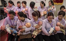 Nhiều 'vú em' có thu nhập cao hơn cả quản lý công ty ở Trung Quốc